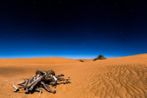 Sahara Desert 4K 8K134746412 300x200 - Sahara Desert 4K 8K - Sahara, Fitz, Desert